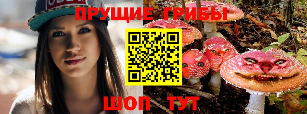 Псилоцибиновые грибы мицелий Кудрово