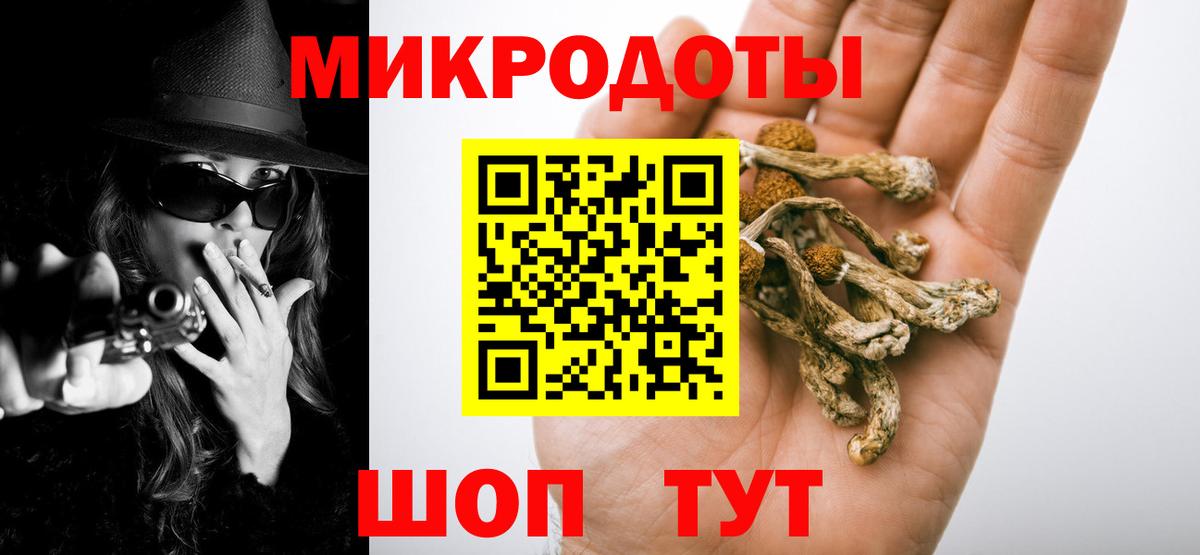 Галлюциногенные грибы MAGIC MUSHROOMS  Вход с VPN  Кудрово 